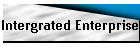 Intergrated Enterprise